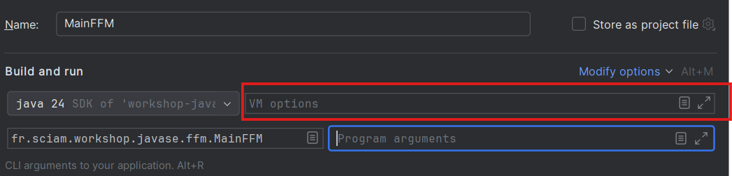intellij vm options input